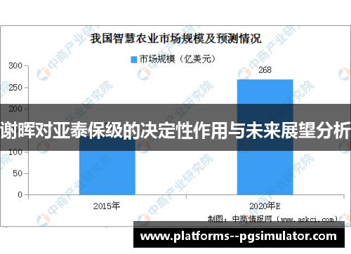 谢晖对亚泰保级的决定性作用与未来展望分析