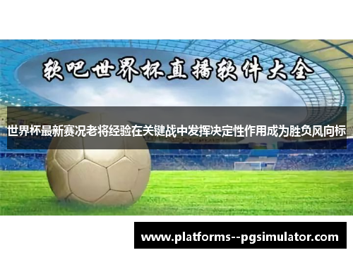 世界杯最新赛况老将经验在关键战中发挥决定性作用成为胜负风向标