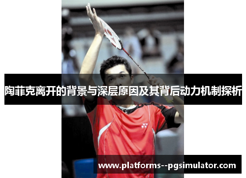 陶菲克离开的背景与深层原因及其背后动力机制探析