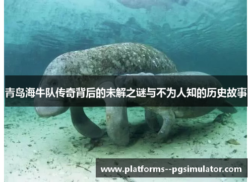 青岛海牛队传奇背后的未解之谜与不为人知的历史故事