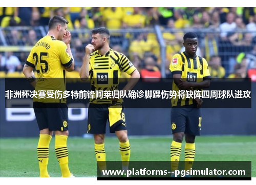 非洲杯决赛受伤多特前锋阿莱归队确诊脚踝伤势将缺阵四周球队进攻