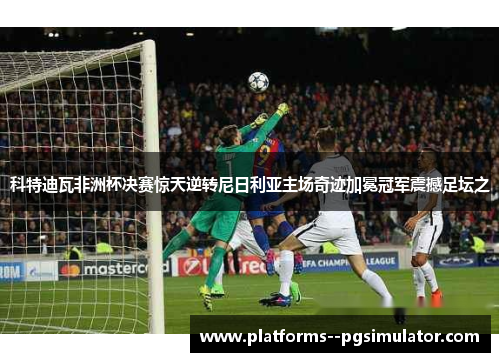 科特迪瓦非洲杯决赛惊天逆转尼日利亚主场奇迹加冕冠军震撼足坛之