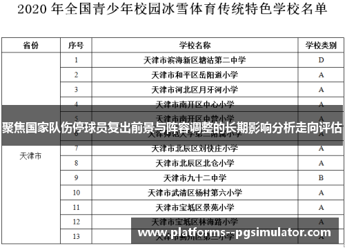 聚焦国家队伤停球员复出前景与阵容调整的长期影响分析走向评估