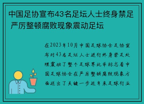 中国足协宣布43名足坛人士终身禁足 严厉整顿腐败现象震动足坛