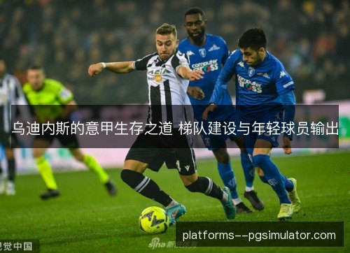 乌迪内斯的意甲生存之道 梯队建设与年轻球员输出